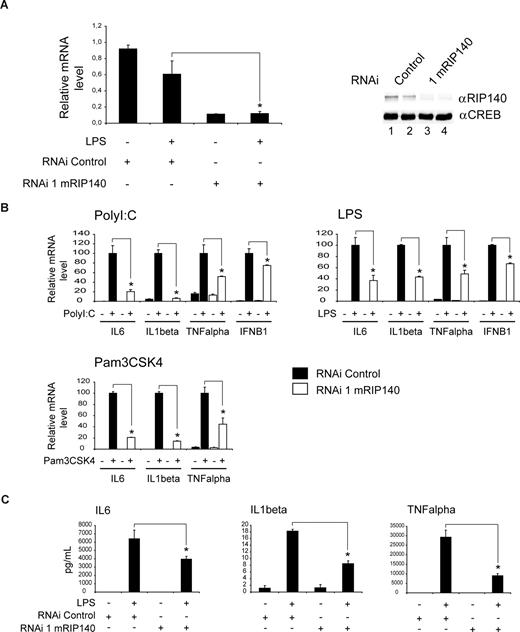 Figure 2. RIP140 deficiency impairs TLR-mediated cytokine gene expression. (A) shRNA-mediated knockdown of RIP140 expression in macrophages. Real-time PCR analysis (left) and Western blot analysis (right) of RAW264.7 macrophages infected with an adenovirus expressing a RIP140-specific or control shRNA construct. Sixty hours after infection, cells were treated with LPS (100 ng/mL) for 8 hours as indicated. Proteins were detected by Western blot using RIP140- or CREB-specific antibody. Lane 1, shRNA control; lane 2, shRNA control plus LPS; lane 3, shRNA mRIP140; lane 4, shRNA mRIP140 plus LPS. (B) Real-time PCR analysis of mRNA levels for IL-6, IL-1β, TNFα, and IFN-B1 in RAW264.7 macrophages infected with an adenovirus expressing a RIP140-specific or control shRNA construct. Sixty hours after infection, RAW264.7 cells were treated with polyI:C (10 μg/mL), LPS (100 ng/mL), or Pam3CSK4 (100 ng/mL) for 8 hours as indicated. (C) Release of IL-6, IL-1β, and TNFα from RAW264.7 cells infected and treated with LPS as in panel B. Cytokine content in the cell supernatant was determined by ELISA. Data are means plus or minus SEM (n = 9). *P < .05.