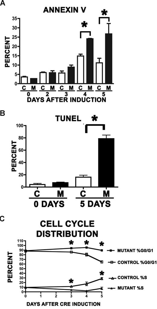 Figure 4. Cul4A protein loss in bone marrow following in vivo Cul4A deletion leads to apoptosis and altered cell cycle distribution. Mutant mice (closed bars or symbols) and controls (open bars or symbols) were induced with pIpC, and 48 hours later LDMNCs were harvested from femurs and plated in vitro. At each time point, cells were collected and analyzed by (A) annexin V–positive, 7AAD-negative staining, (B) TUNEL assay, and (C) DNA content for cell-cycle distribution. Asterisks denote time points where mutant and control differences were statistically significant (P ≤ .04). Cells for these assays were cultured under identical conditions or were assayed simultaneously for apoptosis (A,B) or cell-cycle distribution (C), so results for corresponding time points are comparable. For panel C, ■ and □ represent average percentage cells in G0/G1-phase, and ▴ and ▵ represent average percentage cells in S-phase. Results from independent experiments were combined: 4 for panel A, 2 for panel B, and 3 for panel C. M indicates mutant; C, control.