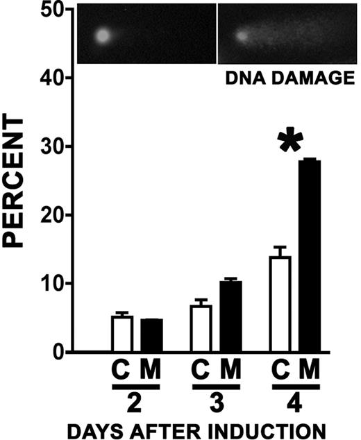 Figure 6. Cul4A deletion leads to an increase in cells with DNA damage. Mutant mice (■) and controls (□) were induced and bone marrow LDMNCs were harvested and cultured in vitro as described for Figure 4. At 2 to 4 days after induction, cells were collected and analyzed for DNA damage by comet assay. The asterisk denotes a statistically significant difference (P = .01). A representative result of 3 independent experiments is shown. Inset images are of representative cells with ethidium bromide–stained DNA; a cell exhibiting no DNA damage (left) and one with damaged DNA (right).
