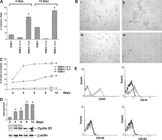 Figure 1. IL-3 induces angiogenic cell expansion. (A) The number of colonies obtained by culturing angiogenic cells in EGM-2 or in EBM-2, with or without IL-3, for 4 or 12 days is reported. Data are the mean of 10 fields (± SD; *P < .05, EBM-2 + IL-3 vs EBM-2–IL-3 or vs EGM-2). Magnification, 10×. (B) Representative photomicrographs of colonies obtained by culturing angiogenic cells for 4 days in EBM-2 + IL-3 (panels i,ii), in EGM-2 (panel iii), or in EBM-2–IL-3 (panel iv). Magnification, 10× (panels i,iii,iv) and 40× (panel ii). (C) The percentage of angiogenic cells in the S phase was evaluated by FACS analysis in different culture conditions. (D) IL-3-cultured angiogenic cells were lysed and cell extracts were subjected to sodium dodecyl sulfate (SDS)–polyacrylamide gel electrophoresis (PAGE). The filter was immunoblotted (IB) with anti–cyclin D1 and anti–β-actin antibodies, as indicated. (E) FACS analysis was performed after 4 days of IL-3 culture. Black lines, preimmune IgG used as negative control; gray lines, CD45, CD14, CD146, and CD105 markers. Three different experiments were performed with comparable results. Photomicrographs of cells were acquired with a Leica DM IL inverted contrasting microscope (Leica Microsystems, Wetzlar, Germany) equipped with 10×/20×/40× hiPlan objective lenses. Images were analyzed using Leica QWin software, version 3.