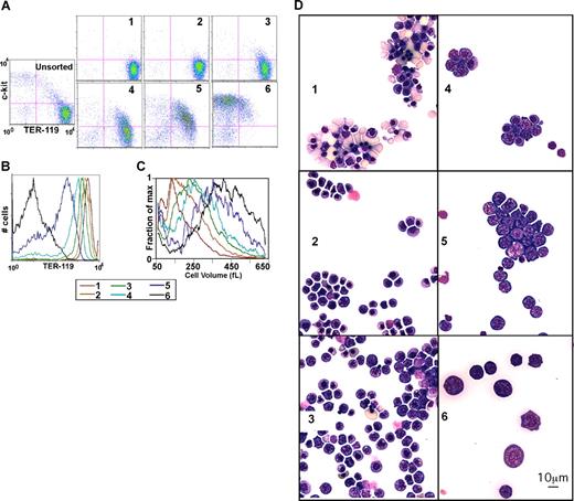 Figure 3. GFLC fractionation. (A) Flow cytometric analysis of GFLC-sorted cells. Cells were first gated based on forward and side scatter to eliminate debris. The plots show intensities of c-kit–APC levels on the y-axis and TER-119–PE levels on the x-axis. Pink lines separate the quadrants (eg, c-kit–APC+ plus TER-119–PE+ on the top right, etc). Lines were positioned so that 95% would be in the bottom left (negative) quadrant in the unstained control. (B) Histograms show the TER-119–PE intensities of GFLC fractions. The plots show cell numbers on the y-axis and TER-119–PE levels on the x-axis. (C) Distribution of cell size in GFLC fractions. Fraction of max (y-axis) was estimated as follows: cell numbers at each cell volume were counted and normalized by peak cell numbers in each fraction. Data smoothing was performed (n = 7). (D) Wright-Giemsa–stained cytospin preparation of GFLC fractions. Fraction 1 consists predominantly of enriched enucleated reticulocytes and late orthochromatophilic erythroblasts. Early orthochromatophilic and polychromatophilic erythroblasts become more prominent in fraction 2. Fractions 3 and 4 are enriched in late polychromatophilic and basophilic erythroblasts. Fractions 5 and 6 are enriched in larger cells containing basophilic erythroblasts. Image acquisition information can be found in Document S1.