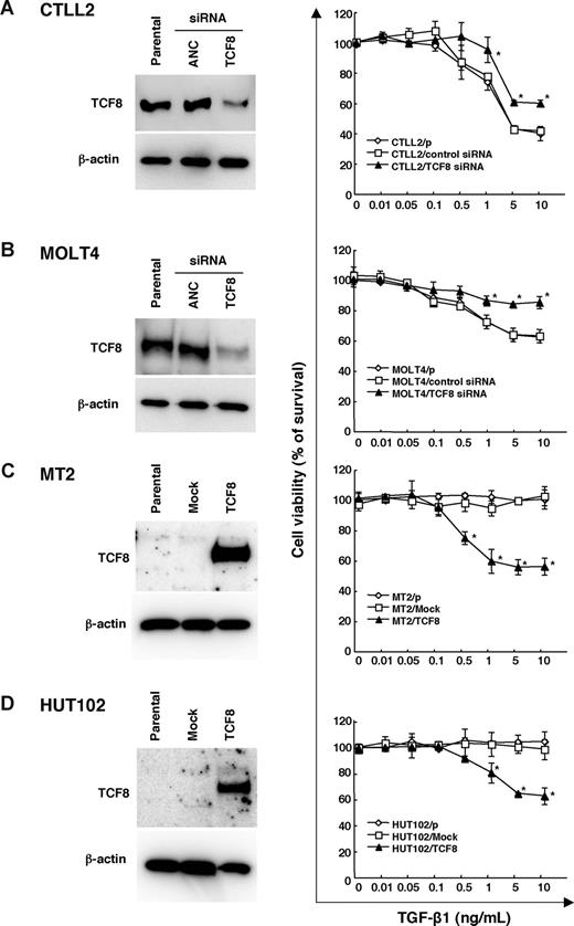 Figure 6. TGF-β1 responsiveness in various leukemia cell lines with the up- or down-regulation of TCF8 expression. (A,B) The down-regulation of the TCF8 protein by TCF8 siRNA. The CTLL2 (A) and MOLT4 (B) cell lines were transfected with either TCF8 or the AllStars Negative Control (ANC) siRNAs and then were incubated for 24 hours. The levels of TCF8 protein were examined in each cell line by Western blotting (left panel). After transfection with siRNAs, the cells were treated with the indicated concentrations of TGF-β1 for 72 hours. The degree of proliferation of each cell line was examined by MTT assay. The results are shown as percentages of the values obtained from the control TGF-β1–free culture (right panel). A ◇ represents parental cells, □ represents cells treated with ANC siRNA, and ▴ represents cells treated with TCF8 siRNA. Student t test (P < .05) was used for the statistical analysis. (C,D) The enforced expression of TCF8 in HTLV-1–infected cell lines. The TCF8 protein levels were examined in each MT-2 (C) and HUT102 (D) cell transfected with a mock or TCF8 expression plasmid after 24 hours by Western blotting (left panel). The cells were treated with the indicated concentrations of TGF-β1 for 72 hours and the proliferation of each was examined by MTT assay. The results are shown as percentages of the values obtained from the control TGF-β1–free culture (right panel). Parental cells (◇), mock vector-transfected cells (□), and TCF8 expression plasmid-transfected cells (▴). All data are the means plus or minus standard deviation in a duplicate assay. Student t test (P < .05) was used for the statistical analysis.