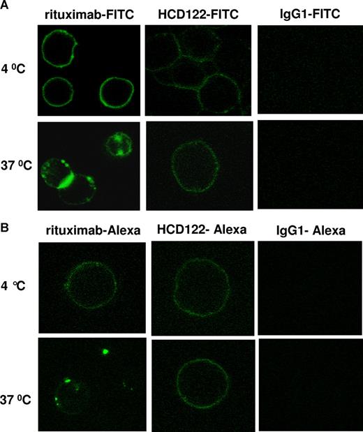 Figure 4. Evaluation of internalization of antibody bound to CD40 after binding to patient CLL cells as confirmed by confocal microscopy. Normal B cells (A) and patient CLL cells (B) were incubated with FITC- and Alexa488-conjugated HCD122, rituximab, or huIgG1 (10 μg/mL for each), respectively, at 4°C with 0.1% sodium azide to block internalization or at 37°C without sodium azide for 3 hours. After washing and fixation, cells were imaged by confocal microscopy.