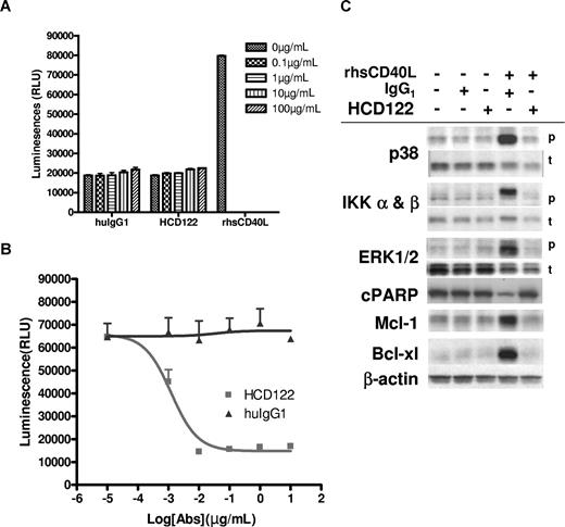 Figure 5. Inhibition of CD40L-induced B-CLL cell survival and proliferation. Responses of B-CLL cells to stimulation by CD40L, and inhibition of the responses by HCD122, are shown for a single representative patient. (A) B-CLL cells were cultured in concentrations of 0 to 100 μg/mL either HCD122 or huIgG1, or in 1 μg/mL rhsCD40L + 2 μg/mL enhancer for 72 hours. (B) B-CLL patient cells were cultured for 72 hours in 1 μg/mL rhsCD40L + 2 μg/mL enhancer with 0 to 10 μg/mL either HCD122 or huIgG1. Cell viability was measured as luminescence intensity (RLU = relative light units). Values represent mean (± SD) of triplicate measurements. (C) Effects of CD40L and HCD122 were evaluated on a number of signaling pathways and antiapoptotic proteins. As indicated by + signs above the figure, CLL cells were incubated in 10 μg/mL HCD122 or 10 μg/mL IgG1 isotype control and 2 μg/mL CD40L (rhsCD40L) for 20 minutes (α and β IKK and ERK) or 24 hours (p38, cPARP, Mcl-1, Bcl-xl). Western blot analysis was performed using antibodies as listed on left-hand side of the panel. β-Actin was used to ensure equal loading of protein in all lanes and is shown as an example for Bcl-xl. For each protein analyzed, representative samples are shown. p indicates phospho-protein; t, total protein.