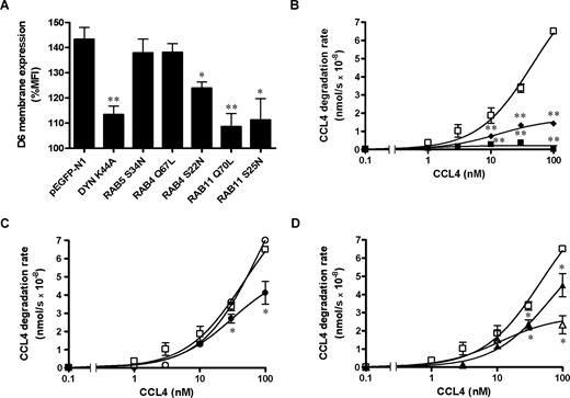 Figure 6. Role of Dyn and Rab proteins on chemokine-induced D6 up-regulation on cell membrane and scavenging activity. CHO-K1/D6 cells were transiently transfected with the indicated pEGFP-tagged constructs. (A) Quantification of D6 membrane expression expressed as percentage of MFI of each transfected cell population treated with CCL3L1 (100 nM, 30 minutes) over untreated controls. Results (means ± SEM) are from at least 3 independent experiments. CCL4 degradation rate of sorted transfectants is shown in panels B (□ indicates pEGFP-N1; ■, Dyn-K44A; and ♦, Rab5-S34N), C (□ indicates pEGFP-N1; ○, Rab4-Q67L; and ●, Rab4-S22N), and D (□ indicates pEGFP-N1; △, Rab11-Q70L; and ▲, Rab11-S25N). Data were analyzed as described in “Chemokine scavenging assay.” Results (means ± SEM) shown in panel A are from at least 3 different experiments; results in panels B through D are from triplicates of 1 representative experiment of at least 3 performed. Asterisks indicate significant differences of Dyn/Rab-transfected versus pEGFP-N1–transfected cells (*P < .05; **P < .01).
