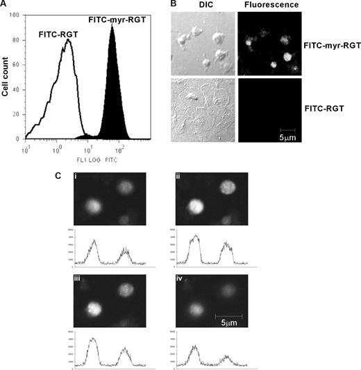 Figure 1. Intraplatelet localization of the membrane-permeable peptides. Platelets incubated with FITC-conjugated peptides (250 μM) for 30 minutes and analyzed by flow cytometry and fluorescence microscopy. (A) Fluorescence histograms of platelets treated with FITC-conjugated myristoylated RGT peptide (FITC-myr-RGT, closed histogram) or with FITC-conjugated RGT peptide (FITC-RGT, open histogram) were analyzed by flow cytometry. (B) Platelets were treated with FITC-myr-RGT peptide or FITC-RGT peptide and allowed to spread on immobilized fibrinogen for 60 minutes. The same microscopic fields were analyzed by differential interference contrast (DIC) microscopy as well as confocal fluorescence microscopy (fluorescence). Figure shows representative images made by a Zeiss LSM510 confocal microscope with a 63× plan-apochromat DIC oil-immersion objective with Pascal software. (C) Z-Stack scanning was performed on FITC-myr-RGT-treated platelets with intervals of 1.2 μm (from 1 to 4). The fluorescence density profiles are shown below each picture.