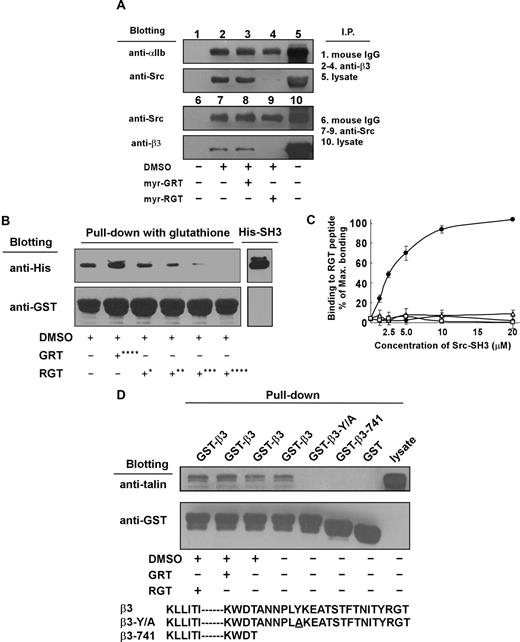 Figure 7. Effect of myr-RGT on the interaction of integrin β3 cytoplasmic domain with Src or talin. (A) Platelets preincubated with 250 μM of myr-RGT or scrambled myr-GRT were lysed with lysis buffer, and the lysates of untreated or peptide-treated platelets were analyzed with an immunoprecipitation procedure as follows. The lysates were incubated with SZ21 antibody or nonspecific mouse IgG. After washing, the immune complexes were subjected to SDS-PAGE and probed by Western blotting using monoclonal antibodies SZ22 or 327 against integrin αIIb or c-Src, respectively (lanes 1-5). In another set of experiments, immunoprecipitation was performed with monoclonal antibody 327 and blotted with SZ21 or 327 (lanes 6-10). Representative results of 3 experiments are shown. (B) Glutathione-Sepharose 4B beads coated with GST-wild-type integrin β3 cytoplasmic tail fusion protein were incubated overnight with purified His-Src-SH3 in the presence of peptides as indicated. After wash, protein complexes were subjected to Western blot analysis with anti-His or anti-GST antibodies. Peptide concentrations: *62.5 μM; **125 μM; ***250 μM; ****500 μM. (C) Increasing concentrations of purified GST-Src-SH3 or GST protein were added to the microtiter wells coated with RGT or GRT peptide (20 μg/mL). Binding of the purified proteins to the peptides was detected by incubation with mouse anti-GST antibody, followed by horseradish peroxidase-conjugated antimouse Ig antibody. Specific binding was normalized by subtracting the OD (optical density) values of the blank wells from that of the sample wells. Results were presented as percentage of the maximal binding. Data were organized as binding of GST-Src-SH3 to RGT peptide (●), GST-Src-SH3 to GRT peptide (■), GST protein to RGT peptide (△), and GST protein to GRT peptide (□). (D) Glutathione-Sepharose 4B beads coated with GST-integrin β3 cytoplasmic tail fusion proteins were incubated overnight with platelet lysates in the presence of peptides as indicated at 4°C before being lysed by SDS sample buffer. Talin was detected with the monoclonal antibody 8d4. Anti-GST antibody binding was used to verify the loading of the β3 cytoplasmic tail fusion proteins. The increased electrophoretic mobility of GST-β3-741 documents the 21 residue truncation of this fusion protein.
