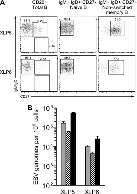 Figure 4. Analysis of EBV genome load in IgM memory B cells isolated from XLP blood. (A) PBMCs from 2 XLP patients, XLP5 and XLP6, were stained with mAbs specific for CD20, IgM, IgD and CD27 to identify naive (CD20+IgM+IgD+ CD27−), nonswitched memory (CD20+IgM+IgD+CD27+) and class-switched memory (CD20+IgM−IgD−CD27+) B-cell populations; numbers indicate the percentage distribution of CD20+ B cells between the 3 populations (left panel). Naive and nonswitched memory cells were subsequently isolated by FACS sorting and the isolated populations reanalyzed, giving percentage purities as shown (center and right panels). (B) The histogram shows the results of quantitative PCR analysis to determine the EBV load in unfractionated CD20+ B cells (), naive B cells () and nonswitched memory B cells (■) isolated from the 2 donors shown in panel A above. Data (mean and SD of 3 replicates) are reported as EBV genome copies per 106 cells.