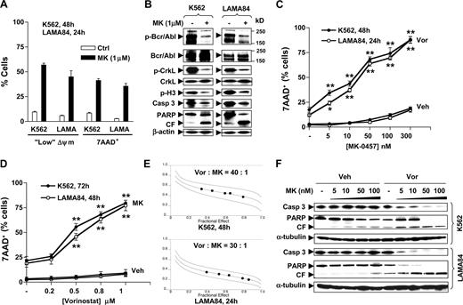 Figure 1. Vorinostat interacts synergistically with MK-0457 to induce apoptosis in CML cell lines. (A) K562 and LAMA84 cells were exposed to 1 μM MK-0457 (MK) for 24 hours (LAMA84) or 48 hours (K562), after which the percentage of cells exhibiting “low” Δψm or 7AAD positivity was determined by flow cytometry. (B) K562 and LAMA84 cells were treated as described in panel A, after which cells were lysed and subjected to Western blot using the indicated antibodies. (C) K562 and LAMA84 cells were incubated with increasing concentrations (5-300 nM) of MK in the absence or presence of vorinostat (Vor K562, 2 μm; LAM484, 1.5 μm) for 48 hours (K562) or 24 hours (LAMA84), after which the percentage of 7AAD+ cells was determined by flow cytometry. (D) K562 and LAMA84 cells were incubated with increasing concentrations (0.2-1 μM) of vorinostat in the absence or presence of 100 nM MK for 72 hours (K562) or 48 hours (LAMA84), after which the percentage of 7AAD+ cells was determined by flow cytometry. (E) K562 (top panel) and LAMA84 cells (bottom panel) were treated with a range of MK and Vor concentrations alone and in combination for 48 hours (K562) or 24 hours (LAMA84) at a fixed ratio as indicated. At the end of this period, the percentage of 7AAD+ cells was determined by flow cytometry; fractional effect values were determined by comparing results with those of untreated controls, and median dose effect analysis was used to characterize the nature of the interaction. Combination index (CI) values less than 1.0 denote a synergistic interaction. Two additional studies yielded equivalent results. (F) K562 and LAMA84 cells were treated with 5 to 100 nM MK with or without Vor (K562, 2 μM; LAMA84, 1.5 μM), after which Western blot analysis was performed to monitor cleavage of caspase-3 and PARP. Results represent the means plus or minus SD for 3 separate experiments performed in triplicate (A,C,D). For each condition involving combined treatment, the net increase over treatment with Vor (C) or MK (D) alone was determined and evaluated for significance using the Student t test. Asterisks indicate significantly greater than values for treatment of cells with the single agent at the same concentrations (*P < .05; **P < .01). For panels B and F, each lane was loaded with 30 μg protein; blots were stripped and reprobed with β-actin or α-tubulin antibodies to ensure equal loading and transfer of protein. CF indicates cleavage fragment; Veh, vehicle. Two additional studies yielded equivalent results.