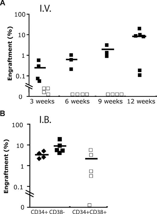 Figure 5. Engraftment of cord blood fraction by intravenous and intrabone marrow routes. (A) Human engraftment kinetics produced by 2400 CB Lin−CD34+CD38− (+/−; ■) and 48 000 Lin−CD34+CD38+ (+/+; □) cells, respectively, when administrated intravenously (I.V.) into NOD/SCID−β2−/− mice. (B) Although similar doses of +/+ cells were able to engraft in immunodeficient mice at 9 to 12 weeks using intrabone marrow injection (I.B.), the level of engraftment produced was still lower compared with 600+/− cells (♦).