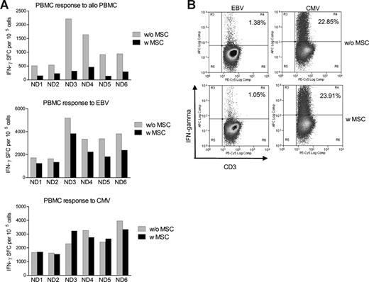 Figure 2. Effect of MSCs on viral or alloantigen-induced IFN-γ production from PBMCs. (A) PBMCs from 6 healthy donors (ND) were stimulated with irradiated (irr) allo PBMCs, irr autologous (autol) LCL or pp65 peptides in the presence or absence of MSCs for 5 days. Cells were then analyzed by Elispot to determine the frequency of IFN-γ SFCs. (B) Representative FACS plot of intracellular IFN-γ staining from PBMCs gated on CD3+ T cells stimulated with irr autologous LCL or pp65 peptides in the presence or absence of MSCs.