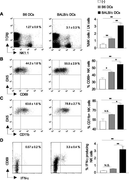 Figure 3. Increased recruitment and activation of host NK cells in lymph nodes after allogeneic DC immunization. B6 CD8−/− mice were left untreated (−) or injected with either syngeneic B6 DCs or allogeneic BALB/c DCs. Twenty-four hours after immunization, draining lymph nodes were harvested, and the percentage of TCR-βneg NK1.1pos cells was determined (A) as well as the percentage of NK cells (TCR-βneg NK1.1posDX5pos) expressing CD69 (B) and CD11b (C). (D) The frequency of CD69pos NK cells (TCR-βneg NK1.1pos) producing IFN-γ was evaluated by ex vivo intracytoplasmic staining without prior stimulation. Data are mean plus or minus SEM of 4 or 5 mice per group. *P < .05. **P < .01. N.S. indicates not significant. Data are from one representative experiment of 3 performed.