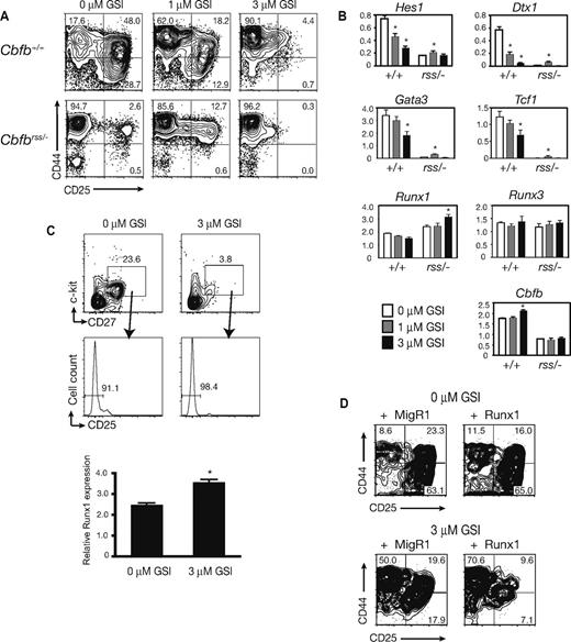 Figure 5. Inhibition of Notch signaling does not affect Runx1, Runx3, or Cbfb expression. (A) Flow cytometric analysis of Lin− FL cells cultured on OP9-DL1 in the absence and presence of the indicated concentrations of GSI for 7 days. CD8−CD19−Gr-1−GFP− cells were analyzed for CD44 and CD25 expression (nexperiments = 8). (B) Gene expression profile of DN1 cells sorted from day 7 OP9-DL1 cocultures treated with dimethyl sulfoxide (□), 1.0 μM GSI (), or 3.0 μM GSI (■). Cell sorting, RNA preparation, and real-time PCR were performed as described for Figure 4A. Taqman probes were used for the quantification of Runx1, Runx3, Cbfb, and Hprt, and SYBR green was used for the remainder of the genes. Expression of each gene was quantified in comparison to a standard curve prepared with dilutions of spleen cDNA. The expression of individual genes is displayed relative to Hprt. Data are averaged from 4 independent experiments. Error bars represent SEM. *indicates significant difference (P≤ .05) between GSI-treated and untreated cells. (C) Runx1 expression in lymphoid progenitors (c-kit+CD27+CD25−) isolated from day 3 OP9-DL1 cultures in the absence and presence of 3 μM GSI (averaged from triplicate samples from 3 independent experiments). The increase in Runx1 expression in GSI-treated cultures was significant at P < .01. (D) Ectopic expression of Runx1 in Cbfb+/+ FL cells cultured on OP9-DL1 in the absence and presence of GSI at 3 μM. Analysis was performed as in panel A.