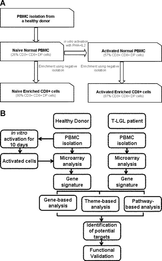 Figure 1. Preparation of samples and experimental procedure. (A) Freshly isolated PBMCs from healthy individuals (naive normal PBMCs) were enriched for CD8+ T cells using negative isolation (naive normal enriched CD8+ cells) as described in “Methods.” Cells (5 × 107) were activated using 1 μg/mL PHA for 3 days followed by 500 IU/mL IL2 for 7 days (activated normal PBMCs). Following activation, 108 cells were enriched for CD8+ cells (activated normal enriched CD8+ cells). Percentage of CD3+CD8+ cells is shown in parentheses. (B) Experimental procedure: The samples were used for RNA isolation and subjected to microarray analysis. LGL leukemia PBMCs were obtained fresh from the patients and were not cultured, sorted, or activated. The samples with similar phenotype were either pooled (pooled sample analysis) or analyzed without pooling (unpooled sample analysis). Genes differentially expressed in both analyses were considered to be differentially expressed.