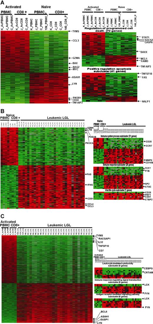 Figure 2. Microarray profiling of naive normal PBMCs, activated normal PBMCs, and leukemic LGLs using gene- and theme-based approaches. (A) Differential expression of genes in normal PBMCs following activation. A total of 775 genes are expressed differentially (at least 2-fold change and 1% FDR) following activation. EASE analysis of 2 phenotypes shows statistically significant up-regulation of genes belonging to GO categories “regulation of programmed cell death” and “positive regulation of apoptosis.” (B) Constitutive gene expression signature of leukemic LGLs compared with naive normal cells. A total of 174 genes were differentially expressed in leukemic LGLs compared with naive normal cells (at least 2-fold change and 1% FDR). EASE analysis of leukemic LGLs compared with naive normal cells shows significant up-regulation of genes belonging to GO categories such as immune system process, immune response, viral life cycle, viral infectious cycle, and viral genome replication. (C) Constitutive gene expression signature of leukemic LGLs compared with activated normal cells. A total of 1492 genes were differentially expressed in leukemic LGLs compared with activated normal cells (at least 2-fold change and 1% FDR). EASE analysis of leukemic LGLs compared with activated normal cells shows up-regulation of immune response–related signaling and cytotoxicity-related GO categories to be significantly up-regulated in leukemic LGLs compared with activated normal cells. Each row in the cluster image represents an individual gene, and each column represents an individual sample from LGL leukemia patient or healthy donor. The relative transcript abundance of each gene is color coded. A red color indicates high expression, black indicates intermediate expression, and green indicates low expression.