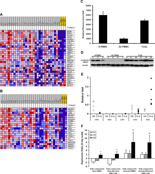 Figure 5. Sphingolipid metabolism and signaling pathway is differentially regulated in leukemic LGLs. The expression profile of LGL leukemia PBMCs (n = 30) was compared with that of activated normal PBMCs (n = 3) using Gene Set Enrichment Analysis (GSEA). Two of the 13 pathways enriched (FDR ≤ 15%) in leukemic LGLs are shown. The expression profile of the components of (A) EDG_Pathway (P = .006) and (B) ST_GA_12_pathway (P = .001) gene sets in leukemic LGLs compared with activated normal PBMCs. Each column represents individual sample from a LGL leukemia patient (gray) or healthy donor (yellow). Each row represents a gene. Red shows high expression, white denotes intermediate expression, and blue denotes low expression. (C) Microarray analysis of ASAH1 mRNA expression. The expression of ASAH1 mRNA in naive normal PBMCs (N PBMCs, n = 4), and activated normal PBMCs (AC PBMCs, n = 3) compared with LGL leukemia PBMCs (TLGLs, n = 30). Each bar represents mean relative fluorescence units, and error bars represent standard error of mean (SEM). (D) Differential expression of ASAH1 in LGL leukemia PBMCs. Expression of α-subunit of acid ceramidase in naive normal PBMCs (N PBMCs, n = 3) and activated normal PBMCs (AC PBMCs, n = 4) compared with LGL leukemia PBMCs (TLGLs, n = 6). Samples were subjected to SDS-PAGE followed by membrane transfer. The blot was probed with antibody to α-subunit of acid ceramidase or β-actin and developed using chemiluminescence. Western blot analysis suggests that acid ceramidase is expressed in naive PBMCs constitutively (N PBMCs, lanes 1-3). Following activation of lymphocytes, α-subunit of acid ceramidase is down-regulated to almost undetectable levels (AC PBMCs, lanes 4-7), whereas it is significantly up-regulated in all LGL leukemia PBMC samples (TLGLs, lanes 8-13). (E) Relative abundance of S1P receptors in naive enriched normal CD8+ cells (white dots, n = 4) and leukemic LGLs (black dots, n = 5) as analyzed by real-time PCR. The figure shows that S1P5 is the predominant S1P receptor for leukemic LGLs. (F) Relative expression of S1P1 (□), S1P4 (), and S1P5 (■) in leukemic LGLs (n = 5) compared with normal phenotypes (n = 3-5). A positive value indicates up-regulation, whereas a negative value indicates down-regulation of a gene in leukemic LGLs. Error bars represent standard deviation of expression. S1P5 is up-regulated in LGL leukemia PBMCs compared with all normal phenotypes. S1P1 is up-regulated in naive phenotypes compared with both activated phenotypes and leukemic LGL. (*P < .05; **P < .001.)