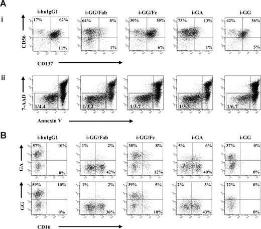 Figure 2. CD137 expression on NK cells is induced in an Fc-dependent fashion. GG mAb was digested into separate Fab and Fc fragments using papain. Digests were passed over protein L or protein A columns, and single Fab fragments or Fc fragments were collected, respectively. IL-2–stimulated NK cells were cultured in the presence of immobilized chimeric mAb or immobilized fragments as indicated in the figure. (A) After 24 hours, CD137 expression was determined by flow cytometry. Gates were set around 7-AAD−/annexinV− cells. Numbers in the dot plots indicate the percentage of CD56+ (NK) cells expressing CD137 (i). Ratios represent the number of live NK cells and are calculated based on the total number of 7-AAD−/annexinV− cells within the total number of acquired cells (ii). (B) CD137 expressed on NK cells is recognized not only by commercial available mouse anti-CD137 mAb but also by both chimeric anti-CD137 mAbs, GA and GG. Experiment shown represents 1 of 3 individual experiments. Statistical analysis is based on 6 (i-GG and i-GA) and 3 (i-GG/Fc and i-GG/Fab) experiments; CD137 expression levels are significantly increased in NK-cell cultures with i-GG and i-GG/Fc compared with i-GA and i-GG/Fab (P = .001). HuIgG1 indicates polyclonal human IgG1; GA, aglycosylated chimeric anti-CD137 mAb; and GG, glycosylated chimeric anti-CD137 mAb.