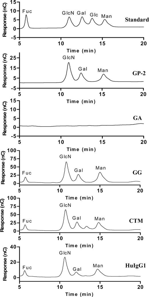 Figure 4. HPAEC profile analysis of IgG1-Fc. Trifluoroacetic (TFA) hydrolysis resulted in complete degradation of the N-glycan within the separate Fc fragments to compositional monosaccharides where N-acetylglucosamine (GlcNac) was released as glucosamine. Compositional monosaccharide patterns were compared with a standard monosaccharide profile composed of fucose, glucosamine, galactose, glucose, and mannose, respectively. Fuc indicates fucose; GlcN, glucosamine; Gal, galactose; Glc, glucose; Man, mannose; GP-2, standard glycopeptide; GA, aglycosylated chimeric anti-CD137 mAb; GG, glycosylated chimeric anti-CD137 mAb; CTM, cetuximab; and HuIgG1, polyclonal human IgG1.