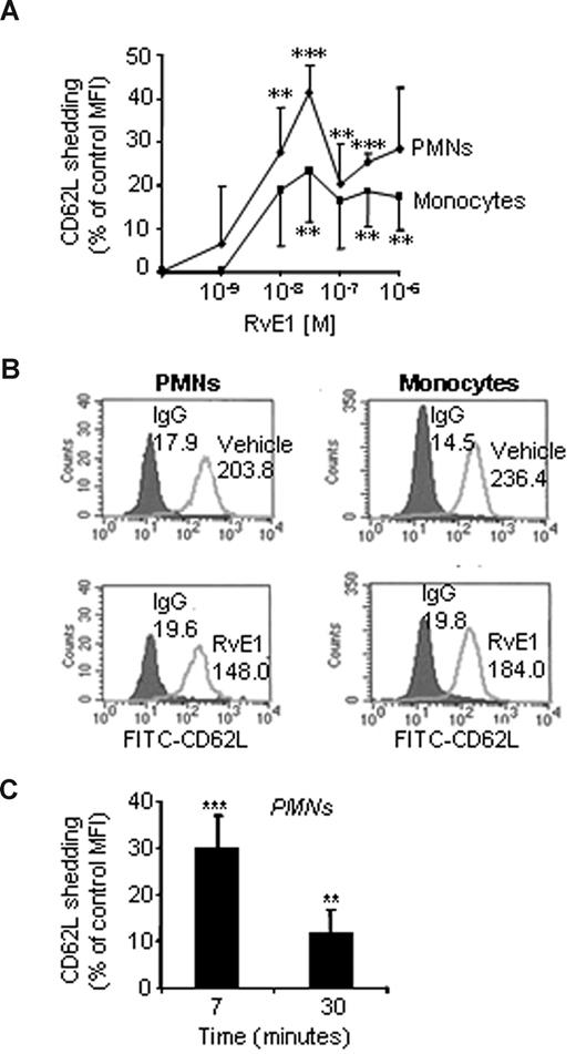 Figure 1. RvE1 regulates L-selectin shedding on PMNs and monocytes in whole blood. Heparinized human whole blood was incubated (30 minutes, 37°C) with increasing concentrations of RvE1 or vehicle alone, then stained with anti-CD62L (or L-selectin) for flow cytometry. CD14 was used to identify monocyte populations and PMNs were identified based on cellular morphology. (A) RvE1 stimulates L-selectin shedding in PMNs () and monocytes (■): concentration dependence. (B) Representative histograms of CD62L expression on PMNs and monocytes in whole blood after 7-minute incubation with RvE1 (30 nM). Numbers on plots are the mean fluorescence intensity of CD62L-positive PMNs or monocytes. (C) Percentage CD62L shedding from human PMNs compared with vehicle alone. Results are expressed as a percentage shedding of control mean fluorescence intensity (MFI) with the means plus or minus SEM from 3 to 6 healthy donors. **P < .005; ***P < .001.