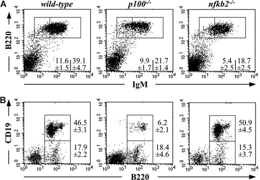 Figure 1. Disturbed B lymphopoiesis in mice lacking NF-κB2/p100. (A) Splenocytes from 3-week-old wild-type, p100−/−, and nfkb2−/− mice were analyzed for B220 and IgM expression by flow cytometry. (B) B220 and CD19 expression on bone marrow cells from 3-week-old wild-type, p100−/−, and nfkb2−/− mice was analyzed. Numbers indicate mean values plus or minus SD (%) from 5 mice.