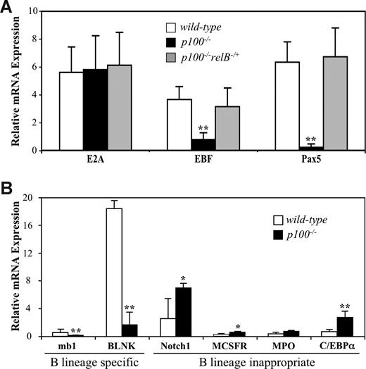 Figure 6. Disturbed expression of B lineage–specific and B lineage–inappropriate genes in p100−/− bone marrow. (A) Quantitative real-time PCR (qRT-PCR) analysis of B-lineage transcription factors in sorted B220+CD19−DX5−Ly6C− B-cell precursors from wild-type, p100−/−, and p100−/−relB−/+ bone marrow. (B) qRT-PCR analysis for expression of B lineage–specific and B lineage–inappropriate genes in sorted wild-type and p100−/− B220+CD19−DX5−Ly6C− B-cell precursors.