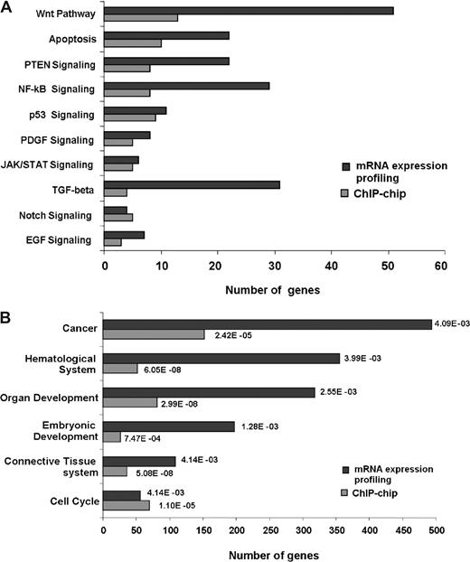 Figure 7. SALL4 binds and transcriptionally regulates genes involving various pathways and biologic functions. Gene-expression changes derived from NB4 cell mRNA expression profiling following SALL4 reduction were classified and compared with ChIP-chip data. represent the number of SALL4-bound promoters identified from the ChIP-chip assay; represent the number of statistically significant (P < .05) altered mRNA transcripts in SALL4 knockdown NB4 cells. Their distribution in each signaling pathway (A) or biologic functional category (B) was determined by Ingenuity Pathway Analysis. The P values presented for each category are based on overrepresentation and calculated against the knowledge base provided by Ingenuity Pathway Analysis.
