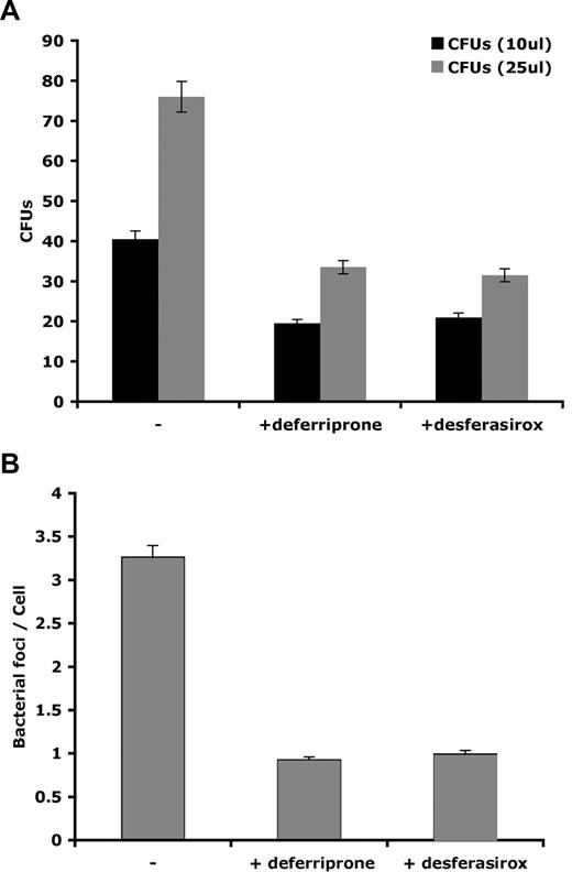 Figure 4. Iron chelators deferriprone and desferasirox remove iron stored in macrophages limiting intracellular L pneumophila growth. Bone marrow macrophages isolated from A/J mice were iron loaded as in Figure 1, infected with L pneumophila for 2 hours, and incubated with hepcidin with or without iron chelators deferriprone or desferasirox for 18 hours. Cells were either (A) lysed and lysates plated on CYET for 3 days and CFUs determined or (B) processed for immunofluorescence and bacterial foci/cell determined as described in Figure 2. Experiments were repeated a minimum of 3 times. Error bars represent the standard deviation of the mean.