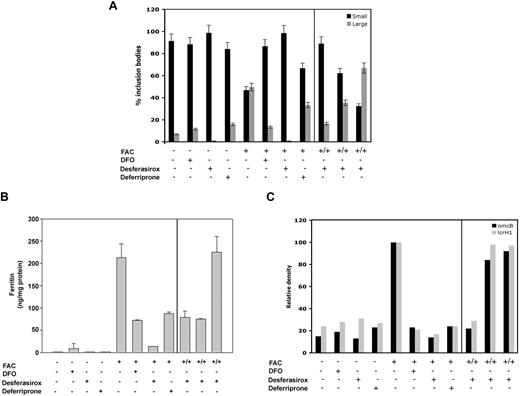 Figure 6. Iron chelators limit the growth of Chlamydia by reducing intracellular iron. Macrophages from flatiron mice were grown in the presence (+) or absence (−) of FAC for 18 hours. Cells were infected with C psittaci for 2 hours, extracellular bacteria removed, and cells incubated in the presence of DFO, desferasirox, deferriprone, or desferasirox that was preincubated with 10 to 100 μM iron as FAC (+/+). Twenty-four hours after infection, cells were processed for immunofluorescence and large and small inclusions quantified as in Figure 1 (A), lysed for ferritin analysis as in Figure 5 (B), or lysed for RT-PCR analysis of C psittaci genes omcB, lcrH-1, and rs16 (C) as described in “Other procedures.” Error bars represent the standard deviation of the mean.
