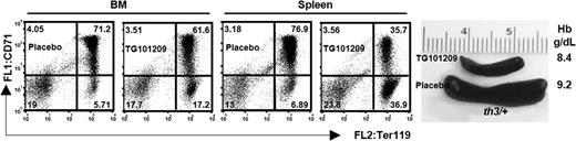 Figure 5. TG101209, a Jak-2 inhibitor, reduced splenomegaly in thalassemic mice. Representative FACS analysis of 6-week-old th3/+ mice injected for 10 days with TG101209 or placebo, as indicated. The corresponding spleens and the Hb levels are shown. Numbers on plots are percentages of total cells in the respective gates. The weight of the spleens of these and other animals treated with TG101209 or placebo is indicated in Figure S5.