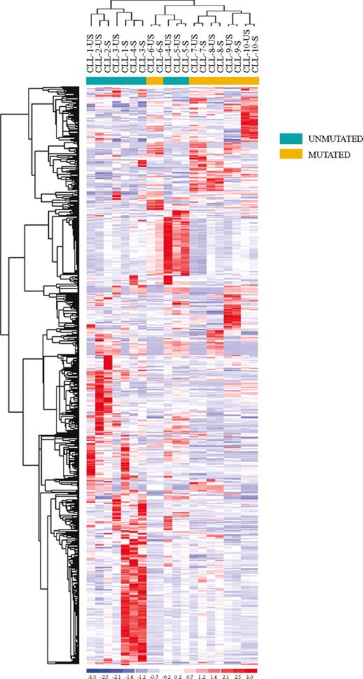Figure 1. Unsupervised clustering of unstimulated (US) and stimulated (S) CLL samples. Unsupervised clustering of the unstimulated (US) and stimulated (S) CLL samples evaluated by gene expression profiling upon BCR cross-linking. Relative levels of gene expression are depicted with a color scale: red indicates highest levels of expression; blue, lowest levels of expression.