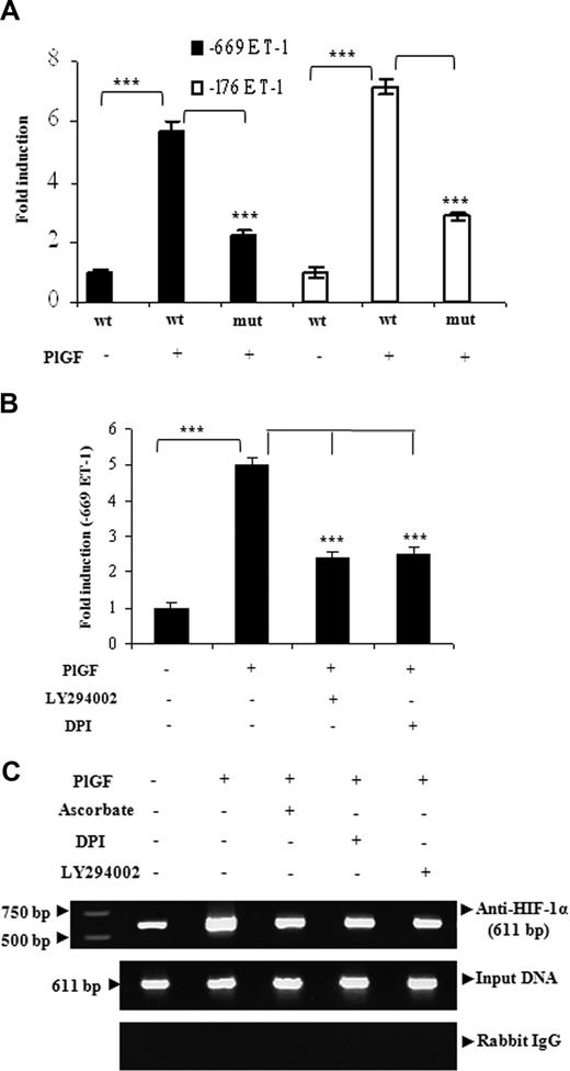 Figure 3. The regulation of ET-1 promoter by PlGF involves HIF-1α response elements. HPMVECs were transfected with indicated wild-type and mutant constructs followed by treatment with PlGF for 6 hours in the absence or presence of pharmacologic inhibitors. (A and B) relative luciferase activity. Data are expressed as means (± SE) of 3 independent experiments. ***P < .001. (C) HIF-1α binding to native chromatin was demonstrated by ChIP assay using HIF-1α or normal rabbit IgG antibodies. The ChIP products were amplified by PCR using primers flanking HIF-1α binding sites in the ET-1 promoter as shown in Table 1. Data are representative of 2 different experiments.