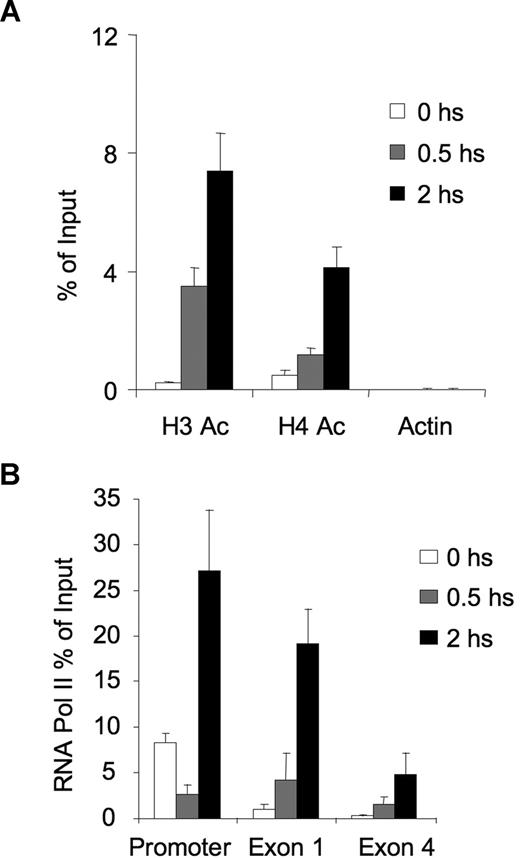 Figure 4. The chromatin of the CD23b locus is set to a transcriptionally active state by CD40 signaling, leading to recruitment and processivity of POLII. (A) QChIP assays were performed using anti-pan-Histone 3 acetylated, anti-pan-Histone 4 acetylated and antiactin antibodies in Ramos cells treated with CD40L during 0 (□), 30 minutes (), and 2 hours (■). QPCR was performed to detect the abundance of CD23b promoter sequence as in Figure 2. The y-axis represents the percentage enrichment by each antibody relative to input. (B) QChIP was performed at the indicated time points using RNA POLII antibodies to detect the abundance of POLII at the CD23b promoter, exon1 and exon 4. The y-axis represents the percentage enrichment of the amplicons relative to input. The result shows increase occupancy by POLII at exon 1 and exon 4 after CD40L exposure, consistent with active transcription of the gene. Each experiment was carried out in duplicate. Error bars represent SEM.