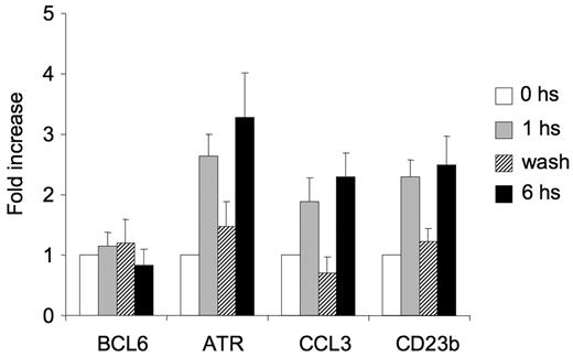 Figure 6. CD40-mediated up-regulation of BCL6 target genes is reversible. Ramos cells were exposed to CD40L for 1 hour and then split into 3 fractions. The first fraction was immediately lysed (), the second was washed to remove the CD40L and then cultured for an additional 5 hours (▨), and the third fraction remained in CD40L containing media for another 5 hours (■). QPCR was performed in untreated cells and all 3 fractions to detect mRNA abundance of BCL6, ATR, CCL3, and CD23b. The mRNA levels of these genes were first normalized to GAPDH mRNA levels and expressed as fold increase relative to untreated cells. The experiment was performed in triplicate. Error bars represent SEM.