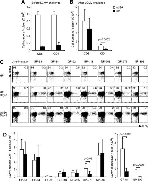 Figure 1. Primary T-cell response in HP mice. (A) Splenocytes were harvested, and CD8 or CD4 numbers (means ± SD) were counted from HP or WT naive mice. (B) Splenocytes were harvested, and CD8 or CD4 numbers were counted from LCMV-infected HP (n = 7) or WT naive mice (n = 5) at day 8. (C) Splenocytes were harvested and stimulated with LCMV-specific peptides for 5 hours. Dot plots show CD44+IFNγ+LCMV-specific CD8 T cells from a representative uninfected HP mouse, infected HP mouse, or infected WT mouse. Numbers refer to percentage of cells in designated quadrants. (D) Splenocytes from LCMV-infected mice were harvested and stimulated with LCMV-specific peptides for 5 hours. After stimulation the numbers of CD8+CD44+IFNγ+ (left; means ± SD) or CD4+CD44+IFNγ+ (right; means ± SD) cells recognizing each peptide were counted. This is a representative result from 3 repeated experiments with 2 to 7 mice per group. P value was analyzed by t test.