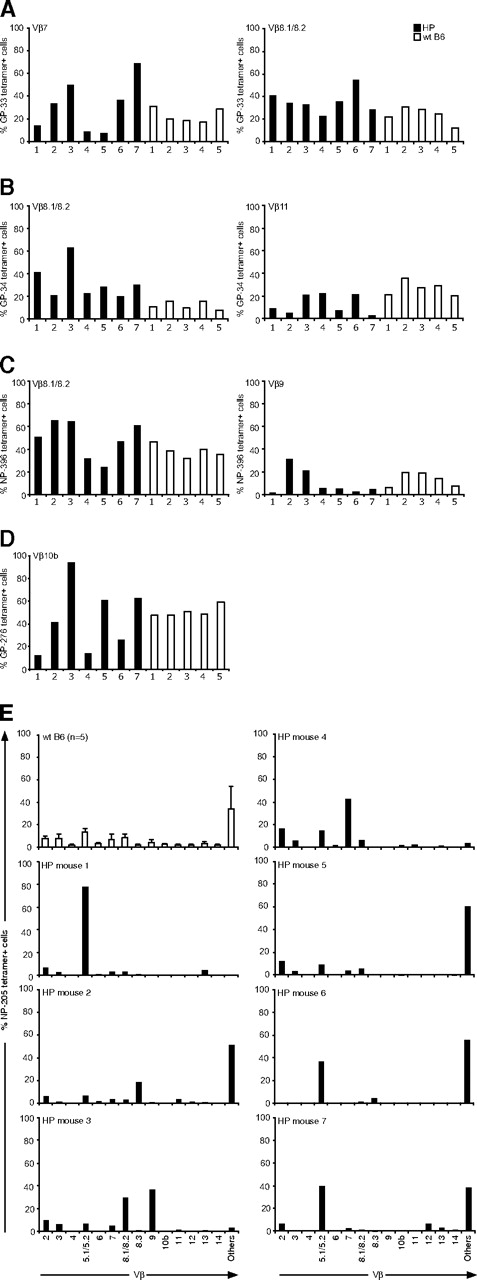 Figure 2. TCR Vβ repertoires of LCMV-specific CD8 T cells. Splenocytes from individual LCMV-infected mice (7 T-cell KO HP mice, ■; 5 WT mice, □) at day 8 were harvested. Cells were stained with MHC class I tetramers specific for LCMV DbGP-33 (A), KbGP-34 (B), DbGP-276 (C), DbNP-396 (D), or for KbNP-205 (E) and then stained with surface makers and Vβ chains. The percentage of Vβ-positive cells was analyzed by gating on tetramer-positive cells.