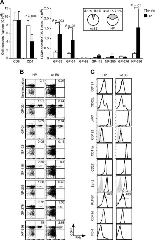 Figure 3. Accumulation of memory LCMV-specific CD8 T cells in HP mice. (A) Splenocytes were harvested from HP and WT mice 6 months after infection and then stimulated with LCMV-specific peptides for 5 hours. After stimulation, CD8 and CD4 T cells (left; means ± SD) and CD8+CD44+IFNγ+ cells recognizing each peptide were counted (right; means ± SD). The total percentage of LCMV-specific memory CD8 T cells for GP-33, GP-92, GP-118, NP-205, GP-276, and NP-396 in the CD8 T-cell resting memory pool is shown in the right panel (means ± SD). This is a representative result from 3 repeated experiments with 2 to 5 mice per group. (B) Dot plots show LCMV-specific CD8 T cells from a representative LCMV-immune HP mouse and a WT mouse. Numbers refer to percentage of cells in designated quadrants. (C) The expression of surface markers on NP-396 tetramer-positive cells. Splenocytes were harvested from HP and WT mice 2 to 6 months after LCMV infection. Staining is shown for gated tetramer-positive cells (NP-205, GP-276, and NP-396), except for stains for CD27 and Bcl-2, in which CD8+ NP-396–specific IFNγ+ cells were gated. Similar expression patterns of surface markers and Bcl-2 on NP-396 CD8 T cells harvested from HP and WT mice 2 to 6 months after infection were seen. This is a representative result of NP-396–specific cells from 4 experiments with 1 to 2 mice per group.
