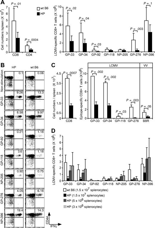 Figure 4. Relatively weak recall responses because of more LCMV-specific CD8 T cells in LCMV-immune HP mice. (A) LCMV-immune mice were rechallenged with LCMV. Cells were stimulated with LCMV-specific peptides, and the numbers of CD8+, CD4+ (left; means ± SD) or each LCMV-specific CD8+ T cells were counted (right; means ± SD). This is a representative result from 2 experiments with 2 to 7 mice per group. (B) Dot plots show LCMV-specific CD8 T cells from a representative rechallenged LCMV-immune HP or WT mouse. Numbers refer to percentage of cells in designated quadrants. (C) LCMV-immune mice were challenged with VV-GP, and their splenocytes were harvested at day 6. Cells were stimulated with LCMV-specific GP peptides, and then the cell numbers of total CD8+ (left; means ± SD) or of LCMV- and VV-specific CD8+ T cells were counted (right; means ± SD). This is a representative result from 2 repeated experiments with 2 mice per group. (D) 1.5 × 107 cells, 5 × 106 cells, or 3 × 106 cells either from Ly5.1 LCMV-immune HP or Ly5.1 WT mice were adoptively transferred into Ly5.2 naive B6 mice. The day after transfer, mice were infected with LCMV, and their splenocytes were harvested after 6 days. Cells were stimulated with LCMV-specific peptides and each LCMV-specific CD8+ T cell was counted (means ± SD). This is a representative result from 2 repeated experiments with 3 mice per group.
