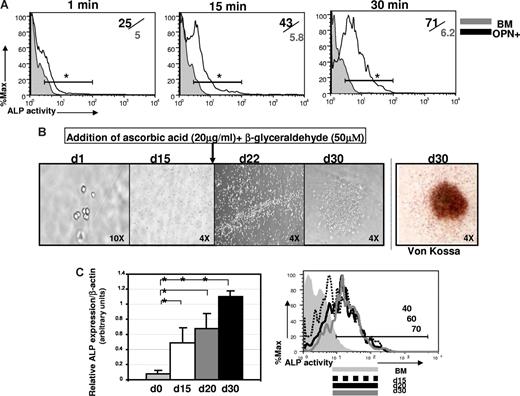 Figure 2. Opn+CD45−Ter119− cells isolated from bone exhibit osteoblast function. (A) Flow cytometric analysis of ALP activity, determined using a modified version of the fluorogenic ELF-97 assay (Invitrogen). Histograms show kinetics (1 minute, 15 minutes, and 30 minutes) of detection of ALP activity in purified Opn+ cells (black line) compared with the ALP activity in a control cell population of total BM cells (gray filled, n = 4). Numbers in the upper right indicate frequency of ALP+ cells among Opn+ cells/frequency of ALP+ among BM control cells. This is representative of 3 independent experiments (*P < .05 at each time point indicated). (B) Sorted osteoblasts form bone nodules in culture. Ten OPN+ cells were cultured in α-MEM/15% serum (d1 of culture, 10 times) and at day 15 (d15, 4 times) osteogenesis was induced by the addition of 20 mg/mL ascorbic acid plus 50 μM β-glyceraldehyde. Cell clusters form after 7 days (d22 of culture, 4 times) and distinct bone nodules are visible by 15 days (d30 of culture, 4 times). Mineralization was confirmed at d30 by the von Kossa method. Micrographs shown are representative of 3 independent experiments (n = 20 wells/experiment). Plates were viewed using a UPLanF1 lens at 10×/0.30 Ph1 (first micrograph) or a UPLan FLN lens at 4×/0.13 (all other micrographs). The efficiency of bone nodule formation was 89% plus or minus 3% of seeded wells over the 3 experiments performed. (C) Differentiating osteoblasts in bone nodule cultures showed increasing expression of ALP mRNA (graph, middle panel, representative of 3 to 5 different wells sampled individually at each time point indicated; *P < .05) and increasing ALP activity (histogram, right panel, representative of 3 individual wells sampled at each time point, day 15, day 20, or day 30, after culture initiation). Data are representative of 3 independent experiments; error bars represent SD.