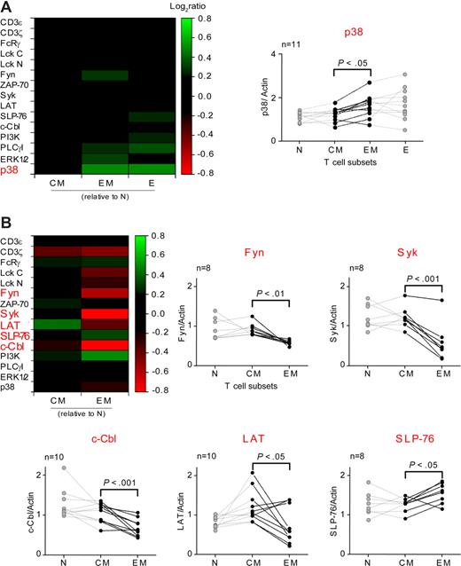 Figure 2. Analysis of the signaling components in CD8 and CD4 T-cell subsets. Signaling components were quantified by RPP arrays and normalized to β-actin in the CD8 (A) and CD4 (B) T-cell subsets. The colors indicate the mean log2 ratios of signaling components relative to N cells from 8 to 13 subjects. Signaling components showing significant differences (2-tailed paired t test; P < .05, shown in red) between CM and EM cells are represented as row ratios on individual graphs. CM and EM compartments are shown in black. Each set of linked dots corresponds to a distinct subject; n indicates the total number of subjects examined. Lck was detected using specific antibodies recognizing epitopes located at the N- and C-terminal ends of the protein (Lck N and Lck C, respectively) to ensure fully denaturing conditions.