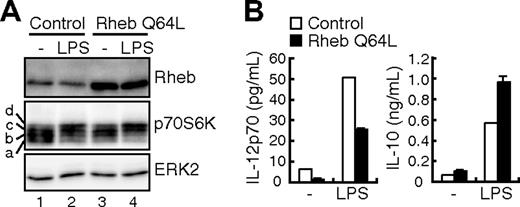 Figure 4. The effect of Rheb Q64L on LPS-induced cytokine production. BMDCs were infected with a lentivirus vector expressing a constitutively active form of Rheb (Rheb Q64L) or vector alone (control). Gene-transduced BMDCs were isolated (“Methods”) and stimulated with or without 1 μg/mL LPS for 24 hours. (A) The cell lysates were analyzed for Rheb, p70S6K, and ERK2 by Western blotting. Note that the mobility shifts of p70S6K caused by multiple phosphorylation are represented as a through d (Figure S4). (B) The production of IL-12p70 and IL-10 in culture supernatants was assayed by ELISA.