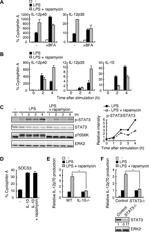 Figure 5. The effect of rapamycin on LPS-induced IL-12 production depends on the IL-10–STAT3 signaling pathway. (A) BMDCs were pretreated with or without 10 ng/mL rapamycin along with or without 5 μg/mL BFA for 20 minutes before stimulation with 1 μg/mL LPS. After 4 hours, total RNA was isolated, and IL-12p40 and IL-12p35 mRNA levels were assessed by real-time PCR using cyclophilin A mRNA as a reference. (B) BMDCs were pretreated with or without 10 ng/mL rapamycin for 20 minutes and then stimulated with 1 μg/mL LPS for the indicated times. Total RNA was isolated, and IL-12p40, IL-12p35, and IL-10 mRNA levels were assessed by real-time PCR using cyclophilin A mRNA as a reference. (C) BMDCs were pretreated with or without 100 ng/mL rapamycin for 20 minutes and then stimulated with 1 μg/mL LPS for the indicated times. The cell lysates were analyzed for phospho-STAT3, STAT3, p70S6K, and ERK2 by Western blotting. The white lines indicate that intervening lanes have been removed. The right panel indicates relative intensities of tyrosine-phosphorylated STAT3 normalized by STAT3 signals. (D) BMDCs were pretreated with or without 100 ng/mL rapamycin for 20 minutes before stimulation with 10 ng/mL IL-10. After 1 hour, total RNA was isolated, and SOCS3 mRNA levels were assessed by real-time PCR using cyclophilin A mRNA as a reference. In panels A, B, and D, data are indicated as mean plus or minus SD of duplicate samples. Data are representative of 2 (B,C) or 3 (A,D) independent experiments with similar results. (E) BMDCs from WT or IL-10−/− mice were stimulated with 1 μg/mL LPS in the presence or absence of 10 ng/mL rapamycin for 24 hours and assayed for the production of IL-12p70 by ELISA. Absolute IL-12p70 levels in the stimulation of LPS alone: WT, 24.1 plus or minus 3.6 pg/mL; IL-10−/−, 1120 plus or minus 230 pg/mL. Data are indicated as median plus or minus SD of 3 independent experiments. *P < .05 by Mann-Whitney U test comparing WT with IL-10−/− groups. (F) BMDCs from STAT3−/− mice or littermate controls were stimulated with 0.1 μg/mL LPS in the presence or absence of 100 ng/mL rapamycin for 24 hours. Cytokine production was evaluated as in panel E. Absolute IL-12p70 levels in the stimulation of LPS alone: control, 11.8 plus or minus 3.7 pg/mL; STAT3−/−, 299 plus or minus 67 pg/mL. *P < .05 by Mann-Whitney U test comparing control with STAT3−/− groups. Indicated below are the expression levels of STAT3 and ERK2 in BMDCs determined by Western blotting.