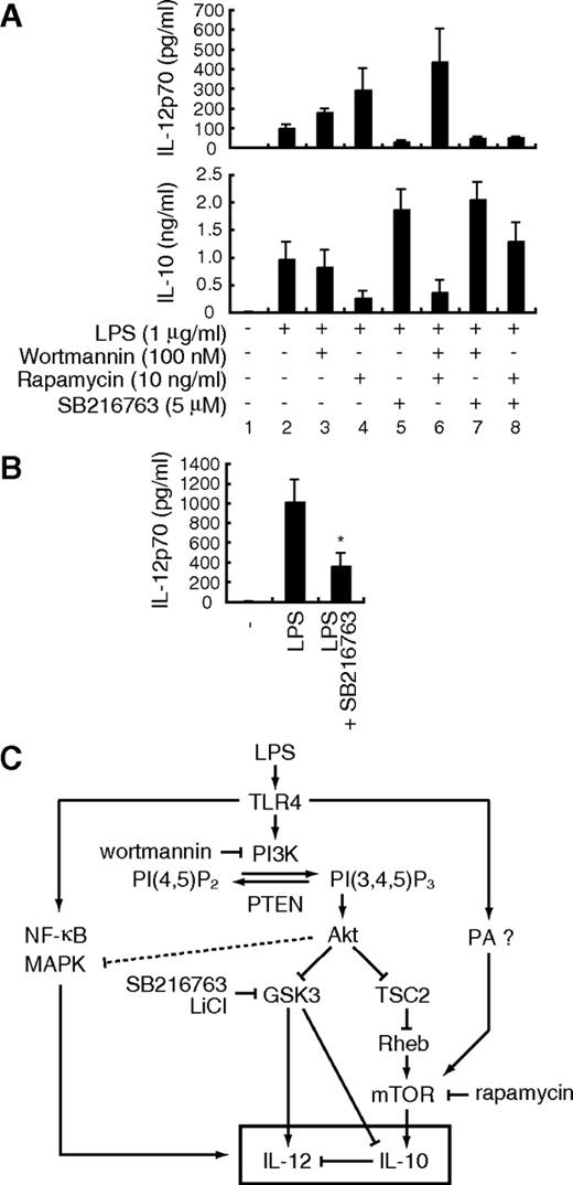 Figure 6. mTOR and GSK3β regulate LPS-induced IL-12 production through distinct mechanisms. (A) BMDCs were stimulated with 1 μg/mL LPS together with the indicated inhibitors for 24 hours and assayed for the production of IL-12p70 and IL-10 by ELISA. Data are indicated as median plus or minus SD of 3 independent experiments. (B) BMDCs from IL-10−/− mice were stimulated with 1 μg/mL LPS in the presence or absence of 5 μM SB216763 for 24 hours and assayed for the production of IL-12p70 by ELISA. Data are indicated as median plus or minus SD of 5 independent experiments. *P < .05 by Wilcoxon t test compared with LPS alone. (C) The schematic diagram of the PI3K-mediated regulation of IL-12 production. PA indicates phosphatidic acid; PI(4,5)P2, phosphatidylinositol(4,5)bisphosphate; PI(3,4,5)P3, phosphatidylinositol(3,4,5)trisphosphate.