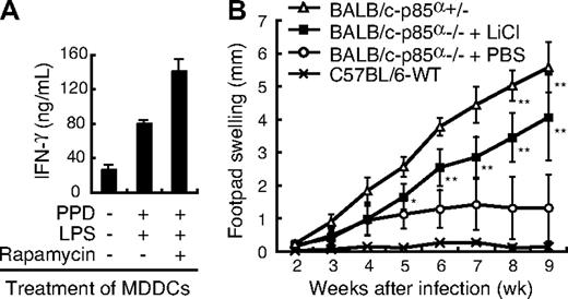 Figure 7. The attenuation of mTOR and GSK3 affects Th1/Th2 balance. (A) Human MDDCs were pretreated with PPD and LPS with or without rapamycin. CD4+ T cells from the same donor were cultured with those MDDCs in the absence of rapamycin. After 1 week of incubation, CD4+ T cells were stimulated with anti-CD3ϵ and anti-CD28 mAbs for 48 hours and assayed for the production of IFN-γ by ELISA. Data are indicated as median plus or minus SD of duplicate samples. (B) The footpad swelling of L major–infected BALB/c-p85α−/− mice treated with LiCl (n = 8) or with PBS (n = 6) was monitored on a weekly basis. BALB/c-p85α+/− mice (n = 5) or C57BL/6-WT mice (n = 2) were used as positive and negative controls for L major infection, respectively. Data are indicated as median plus or minus SD. *P < .05, **P < .01 by Mann-Whitney U test compared with PBS-treated BALB/c-p85α−/− mice. There was no significant difference in footpad swelling between LiCl-treated BALB/c-p85α−/− mice and untreated BALB/c-p85α+/− mice.