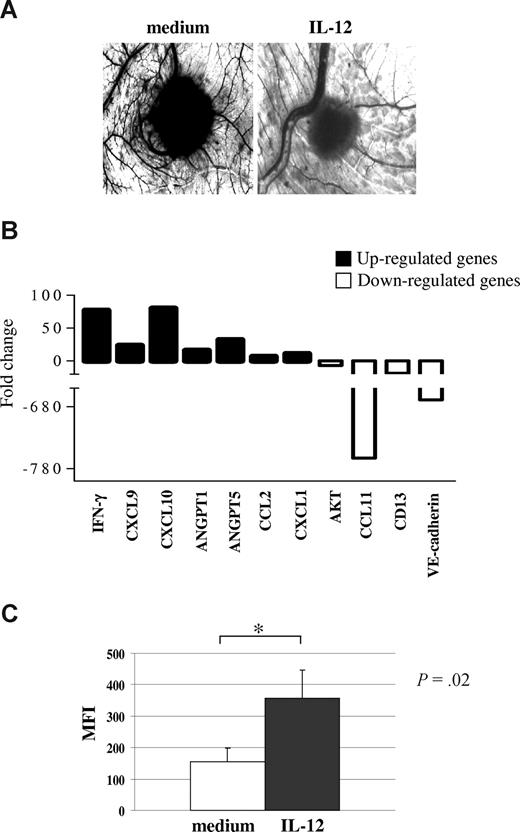 Figure 4. IL-12 activity on primary MM cells. (A) Angiogenic activity of supernatants from one representative CD138+ MM sample cultured in the presence or absence of hrIL-12. CAMs treated with sponges loaded with the conditioned medium from the untreated cells were surrounded by allantoic vessels developing radially toward the implant in a “spoked-wheel” pattern (left panel). When medium from the same MM sample cultured with hrIL-12 was tested, a significant reduction of the angiogenic response was evident (right panel) (original magnification ×50). (B) Results from human angiogenesis PCR array performed in one representative CD138+ MM sample cultured in the presence or absence of hrIL-12 are shown. (C) Purified CD138+ primary MM cells incubated with IL-12 for 48 hours significantly up-regulated expression of the IFN-γ protein. Results are median mean fluorescence intensity (MFI) values plus or minus SE.