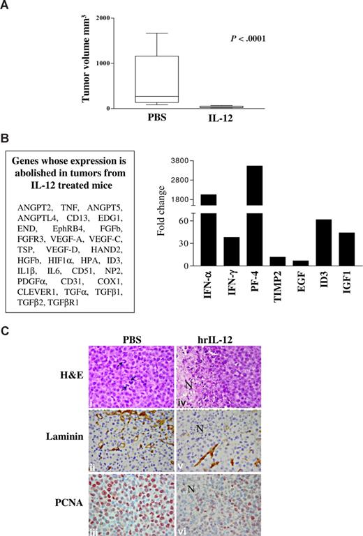 Figure 6. IL-12 antitumor activity in vivo. (A) Volume of tumors grown intraperitoneally in PBS- and IL-12–treated animals 23 days after NCI-H929 cell inoculation. The differences in size between tumors removed from PBS- and IL-12–treated mice were evaluated by Mann-Whitney U test. Boxes represent values between the 25th and 75th percentiles; whisker lines, highest and lowest values for each group; horizontal lines, median values. (B) Human angiogenesis PCR array on tumors explanted from IL-12– versus PBS-treated animals 23 days after NCI-H929 cell inoculation. Left panel enlists the gene whose expression has been abolished in tumors from IL-12– versus PBC-treated mice. Histogram in right panel shows fold expression changes of genes up-regulated in tumors from IL-12– versus PBC-treated mice. (C) Histologic and immunohistochemical features of tumors developed in PBS-treated (i-iii) and hrIL-12–treated (iv-vi) SCID/NOD mice 23 days after NCI-H929 tumor cell injection. NCI-H929 tumors are mostly formed by undifferentiated, proliferating (mitotic features indicated by arrows) blast cells that are large and pleomorphic and sometimes binucleated or endowed with very prominent nucleoli (i). These tumors are supplied by a distinct network of mature microvessels, as assessed by laminin staining (ii), and show frequent PCNA expression (iii). In hrIL-12–treated mice, these morphologic features are frequently altered by the appearance of ischemic-hemorrhagic foci of necrosis (N; iv) associated with defective microvascularization (v) and decreased tumor cell proliferation (vi). Histologic and immunohistochemical analyses were performed under a Zeiss LSM 510 Meta laser scanning confocal microscope (Zeiss, Oberkochen, Germany). ×400 field (×40 objective and ×10 ocular lens; 0.180 mm2 per field).