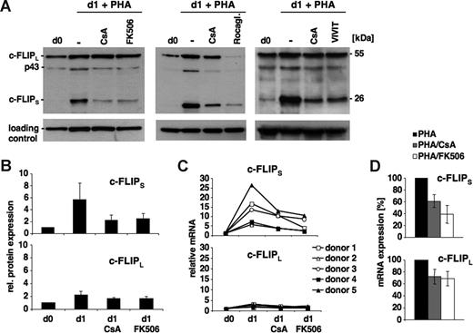 Figure 2. Block of c-FLIP up-regulation in short-term activated T cells by inhibition of calcineurin. (A) Human peripheral T cells were lysed immediately (d0) or stimulated for 16 hours (d1) with 5 μg/mL PHA-L in the presence or absence of 1 μM cyclosporine A (CsA), 100 nM FK506, 200 nM rocaglamide, or 10 μM VIVIT peptide. c-FLIP expression was analyzed by Western blotting. Tubulin or β-actin served as a loading control. (B) Inhibition of c-FLIPlong and c-FLIPshort up-regulation in short-term activated T cells by CsA and FK506 was analyzed by quantitative Western blotting. Protein expression levels are represented as the means plus or minus the standard deviation (SD) of at least 4 independent experiments. (C,D) Quantification of c-FLIP mRNA levels in unstimulated versus PHA-L–, PHA-L/CsA–, and PHA-L/FK506–treated peripheral T cells of 5 different blood donors by real-time PCR. Panel D displays the percentage of inhibition of c-FLIP mRNA up-regulation in CsA- and FK506-treated cells.
