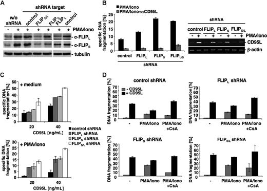 Figure 7. Inhibition of c-FLIP up-regulation sensitizes activated T cells to apoptosis. (A) CEM cells were either left untreated or stably transduced by lentiviral infection with a control shRNA or shRNAs targeting c-FLIPlong (FLIPL), c-FLIPshort (FLIPS), or both c-FLIPlong and c-FLIPshort (FLIPL/S). Efficient knock-down of the various c-FLIP isoforms was confirmed by Western blotting. Tubulin served as a loading control. (B) Left panel: CEM cells stably transduced with the indicated shRNAs were stimulated for 14 hours with PMA and ionomycin with or without neutralizing CD95L antibody (αCD95L; 5 μg/mL, clone 5G51). Apoptotic cells were quantified by measuring DNA fragmentation. Right panel: Up-regulation of CD95L in unstimulated or PMA/ionomycin-treated CEM cells expressing the indicated shRNAs was analyzed by RT-PCR. (C) CEM cells stably transduced with the indicated shRNAs were either left untreated (top panel) or stimulated with PMA and ionomycin (bottom panel). Two hours later CD95L was added at the indicated concentrations and apoptosis was quantified after an additional 8 hours of stimulation. (D) CEM cells stably transduced with the indicated shRNAs were left untreated or stimulated for 2 hours with PMA and ionomycin in the presence or absence of 8 μM CsA. The cells were then cultured for an additional 8 hours with or without 40 ng/mL CD95L, before apoptosis was determined by flow cytometric measurement of DNA fragmentation.