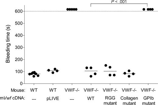 Figure 3. Effect of WT and mutated mVWF on bleeding time in VWF−/− mice after hydrodynamic gene delivery. VWF−/− mice were injected with 50 μg of WT pLIVE-mVwf or pLIVE-mVwf mutated in the RGD sequence (D2509G), in the collagen-binding site (D1742A, S1783A, H1786A), or in the GPIb-binding site (K1362A). Bleeding time was assessed 3 days after injection by tail tip transection. Observation was stopped at 600 seconds when bleeding did not cease. Each symbol represents one mouse, and the median value of each group is represented by a horizontal line. pLIVE stands for mice injected with the vector only. NS indicates not significant.