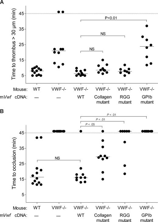 Figure 6. Effect of WT and mutated mVWF on ferric chloride–induced injury in mesenteric arterioles of VWF−/− mice after hydrodynamic injection. VWF−/− mice were injected with 50 μg of WT pLIVE-mVwf or pLIVE-mVwf mutated in the RGD sequence (D2509G), in the collagen-binding site (D1742A, S1783A, H1786A), or in the GPIb-binding site (K1362A). Thrombus formation was examined 3 to 4 days after injection. Endothelial injury was induced with 10% FeCl3 in mesenteric vessels 100 to 130 μm in diameter. When the vessel did not occlude within 45 minutes, observation was stopped. Each symbol represents one mouse, and the median value of each group is indicated. (A) Time required for the formation of the first thrombus greater than 30 μm in diameter. (B) Time required for the formation of an occlusive thrombus (cessation of blood flow).