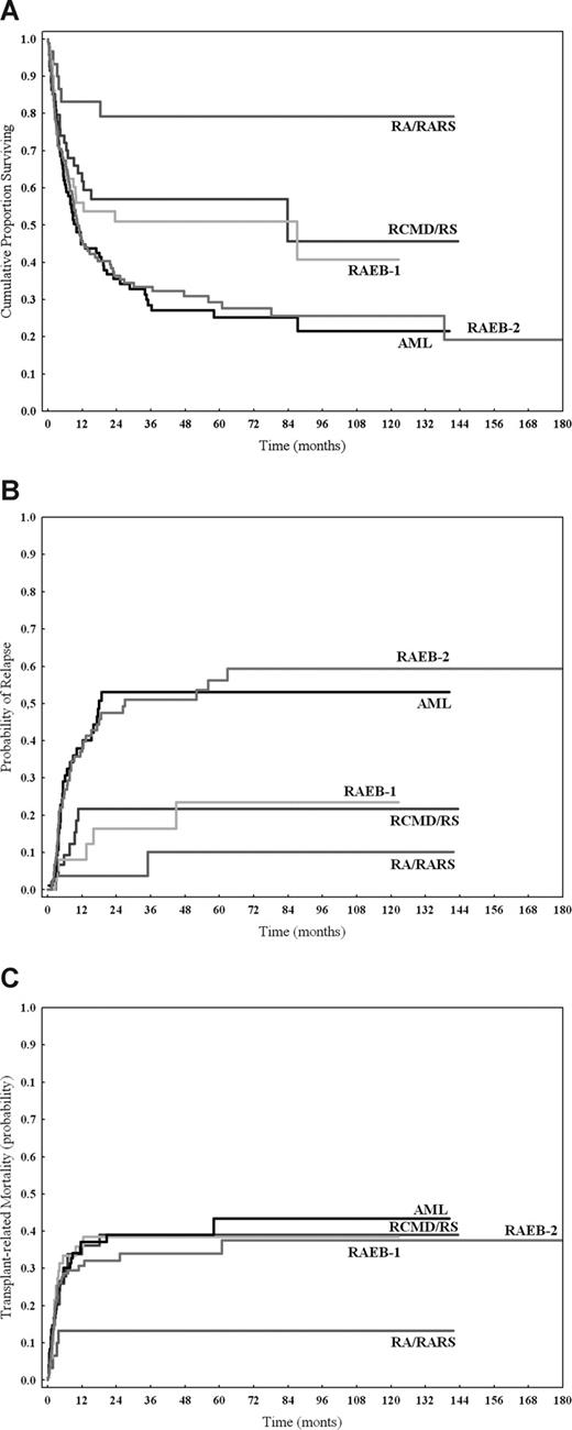 Figure 1. Posttransplantation outcome according to WHO category. Overall survival (A), probability of relapse (B), and transplant-related mortality (C) after allogeneic hematopoietic stem cell transplantation in MDS patients classified into WHO categories evaluated at the time of transplantation in patients undergoing allo-SCT upfront and before remission-induction chemotherapy in those receiving treatment before transplantation.
